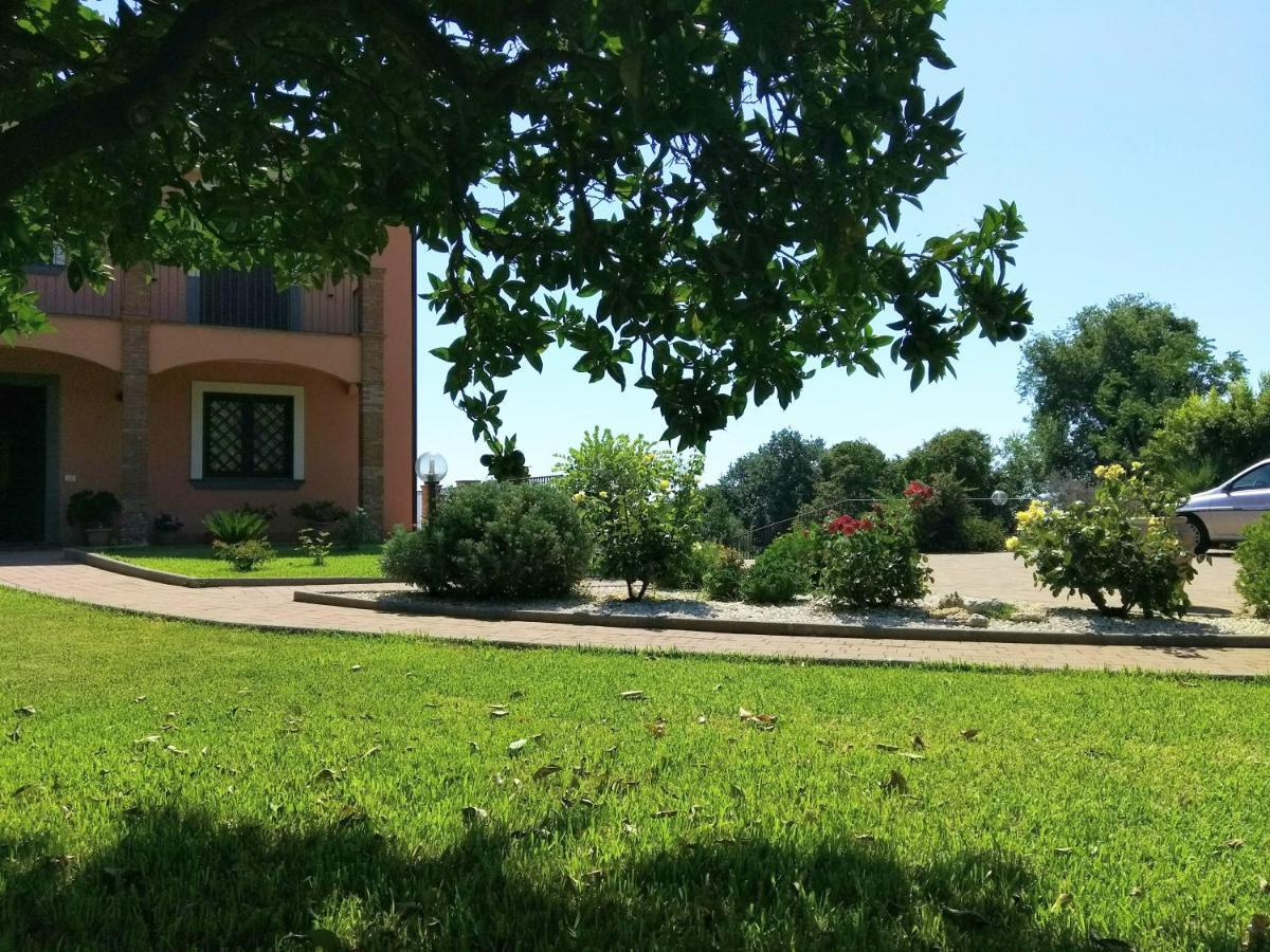 Villa Feluchia Tra Il Mare E Il Vulcano Acireale Exterior photo